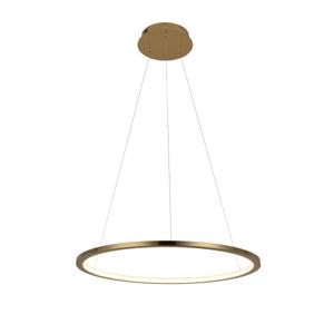 10014M Подвесной светильник LOFT IT Ring