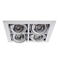 Карданный светильник Arte Lamp CARDANI MEDIO A5930PL-4WH