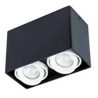 Точечный накладной светильник Arte Lamp PICTOR A5655PL-2BK