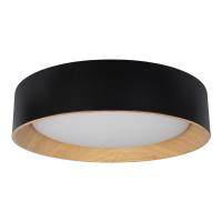 10202 Black Потолочный светильник LOFT IT Coin