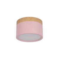 10162 Pink Накладной светильник LOFT IT Grape