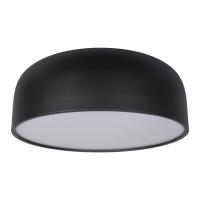 10201/480 Black Потолочный светильник LOFT IT Axel