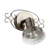 Спот Arte Lamp FOCUS A5219AP-1AB от интернет магазина Elvan.ru