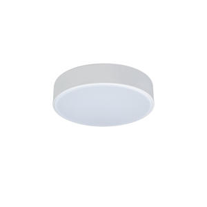 10002/12 White Потолочный светильник LOFT IT Axel