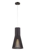 Подвесной светильник Arte Lamp CARCASSA