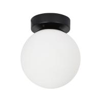 Настенно-потолочный светильник Arte Lamp ALCOR