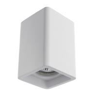 Точечный накладной светильник Arte Lamp TUBO A9261PL-1WH