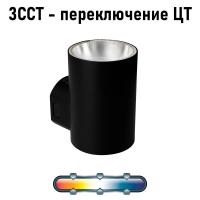 Фасадный светильник Arte Lamp ALCYONE