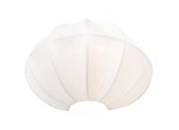 Бра Arte Lamp COCOON A6190AP-1WH