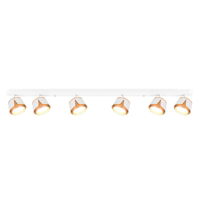 Спот Arte Lamp AMAKS