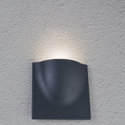 Фасадный светильник Arte Lamp TASCA