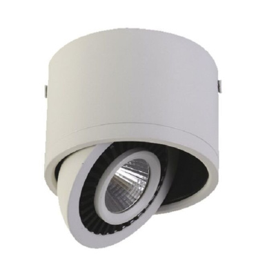 1776-1C, потолочный светильник, D112xH85, 1xLEDx12W, AC:100-240V, 960LM, RA>80, IP21, 960LM, 4000K, included