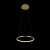 10014S Подвесной светильник LOFT IT Ring