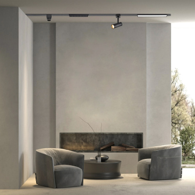 4225-1P, подвес, D20xH2000, LEDx12W, 42V, 1000LM, 3000-6000K, IP20, included