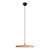 10119 Orange Подвесной светильник LOFT IT Plato