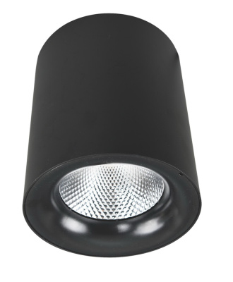 Точечный накладной светильник Arte Lamp FACILE