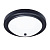 Потолочный светильник Arte Lamp James A4049PL-3BK