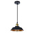 Подвесной светильник Arte Lamp CAPPELLO A7038SP-1BK