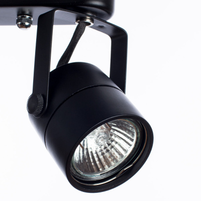 Спот Arte Lamp LENTE