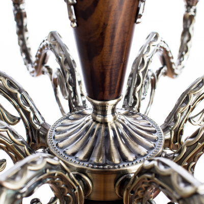 Подвесная люстра Arte Lamp VERDI