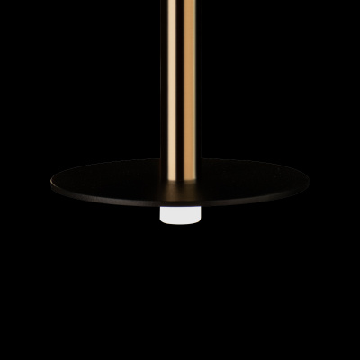 10358/830 Disk AB Подвесной светильник LOFT IT Reed