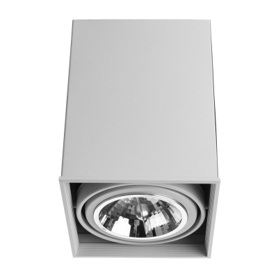 Точечный накладной светильник Arte Lamp CARDANI GRANDE
