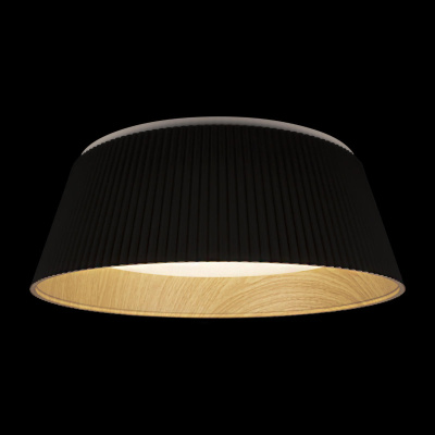 10224 Black Потолочный светильник LOFT IT Evans
