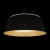 10224 Black Потолочный светильник LOFT IT Evans