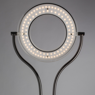 Торшер Arte Lamp DUETTO LED