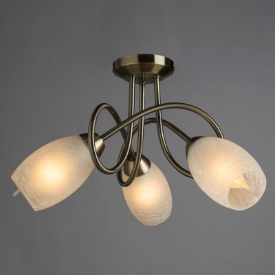 Потолочная люстра Arte Lamp MUTTI