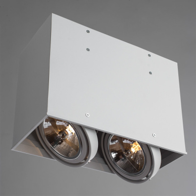 Точечный накладной светильник Arte Lamp CARDANI GRANDE