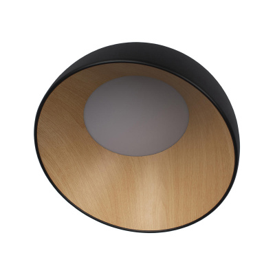 10197/350 Black Потолочный светильник LOFT IT Egg