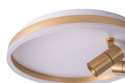 Потолочный светильник ZORTES RAIZY ZRS.1888.02, Мощность - 40Вт, Тип лампы: LED, В -70мм / Ш - ø500мм