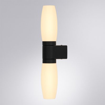 Подсветка для зеркал Arte Lamp AQUA-BASTONE