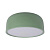 10201/350 Green Потолочный светильник LOFT IT Axel