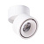 Спот Arte Lamp ARCTURUS