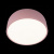 10201/350 Pink Потолочный светильник LOFT IT Axel