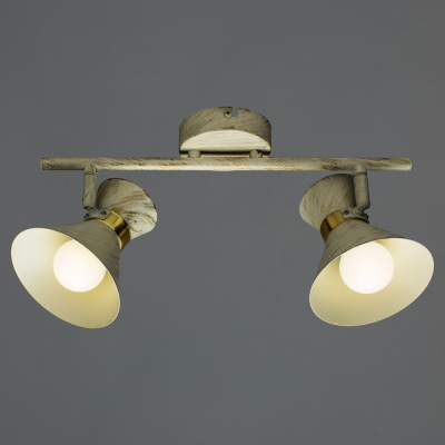 Спот Arte Lamp BALTIMORE