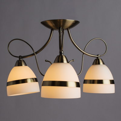 Потолочная люстра Arte Lamp NOEMI