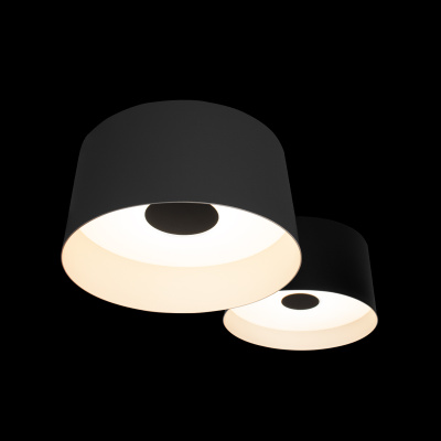 10360/2 Потолочный светильник LOFT IT Duo