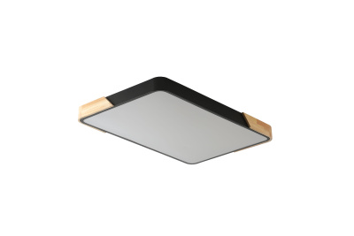 Светильник ZORTES ALBERRO ZRS.01244.60, Мощность - 60Вт, Тип лампы: LED, В - 50мм / Д - 420мм / Ш - 650мм