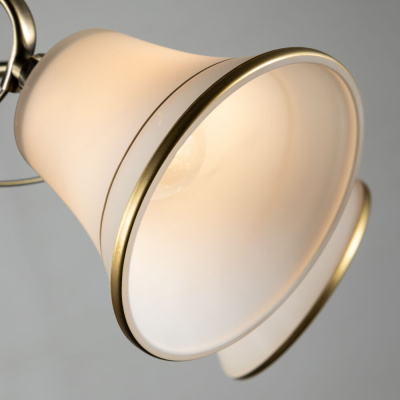 Потолочная люстра Arte Lamp BLOSSOM