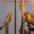 Подвесная люстра Arte Lamp GABBIA