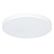 Потолочный светильник Arte Lamp ARENA A2671PL-1WH