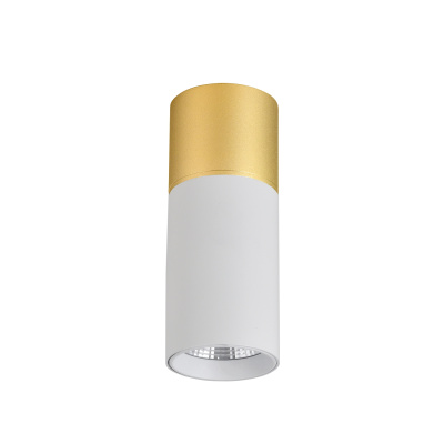 3073-1C, потолочный светильник, D50xH139, LEDx5W, 350LM, 4000K, IP20, included