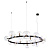 Подвесная люстра Arte Lamp VINCENT A7790SP-24BK