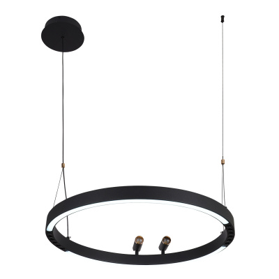 4474-1P, подвесная люстра, D600xH1000/1800, LEDx58W + 2xLEDx3W, 1860LM, 3000-6500K, included, remote control