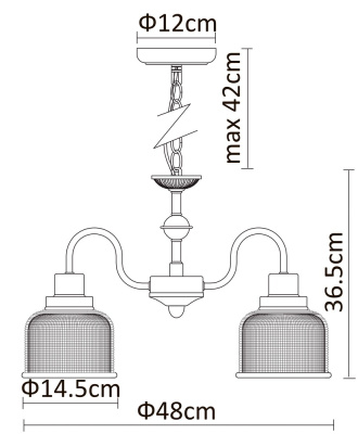 Подвесная люстра Arte Lamp RICARDO