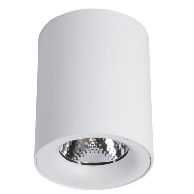 Точечный накладной светильник Arte Lamp FACILE