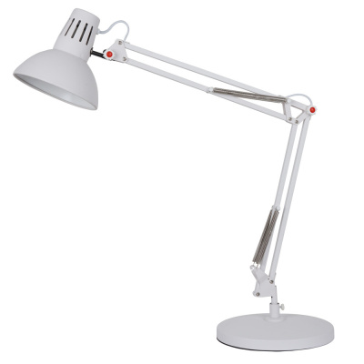 Настольная лампа Arte Lamp RAGNO